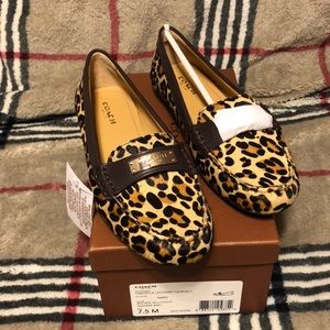 Coach Fredrica Leopard Haircalf Shoes